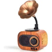 Resim Çok Renkli Mini Gramafon Radyo, Usb, Aux, Bluetooth, Yüksek Ses Kalitesi 