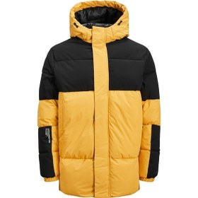 Resim Jack & Jones Jack&Jones Kapüşonlu Sarı-Siyah Erkek Mont 12235870 001 