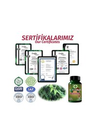Resim Gökçek Şifa Fo-Ti 1000 MG Isırgan Kapsül 60 Kapsül 