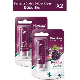 Resim Parlatıcı Dudak Bakım Kremi 4,5 Gr 2 Adet Böğürtlen Silikon, Petrol İçermez 