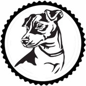 Resim Kıvırcıkyoga Sevimli Köpek Tasarım 4.Model Sticker 10 x 10 cm 