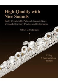 Resim Eastar Efl-2 Yan Flüt Gümüş Kaplama 