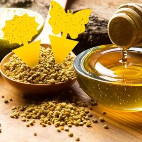 Resim Yapışkan Karton Böcek Tuzakları, Yapışkan Meyve Sineği Tuzakları ve Mantar Sivrisineği Tuzak Katili, İç ve Dış Mekanlar İçin, Böcek Yakalayıcı, Sivrisinek Tuzak, Zararlı Kontrolü, Apartman Gereksinimleri, Üniversite Yurdu Gereksinimleri, Ev Aletleri 