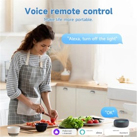 Resim Serfhyff Mini Akıllı Anahtar 16A Wifi Röle Modülü Akıllı Anahtar Kablosuz Işık Anahtarı Ses Kontrolü Akıllı Ev Otomasyonu (Yurt Dışından) 