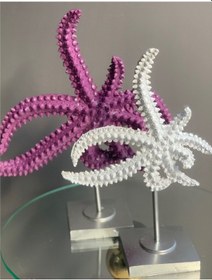 Resim BY ARİ İKİLİ DENİZ YILDIZI DO330-9 