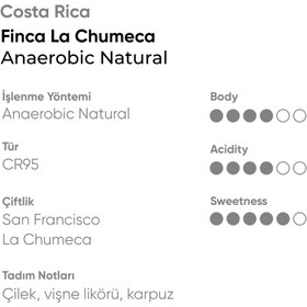 Resim Costa Rica Finca La Chumeca Anaerobic Natural - 250gr / Filtre 