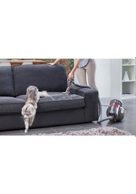 Resim Dyson Big Ball Absolute 2 600 W Kablolu Süpürge 