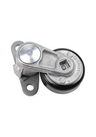 Resim Acdelco 12580196 Hummer Kayış Gergi Rulmanı 