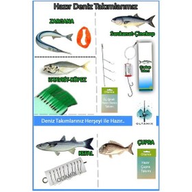 Resim Çok Renkli Yeni Başlayanları Profosyonel Yapan Ekonomik Olta Seti Harika Kalite Deniz Ve Göl Takım 