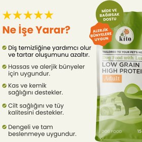 Resim 15 kg yetişkin köpek maması + 2,5 kg yetişkin köpek maması 