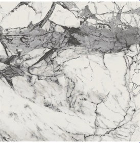 Resim Bien Newport 100x100 Parlak Yer Ve Duvar Karosu P198xdbn24tx0xpxxw50 1,94 M2 