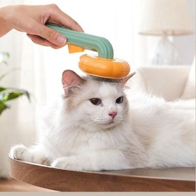 Resim Kabak Tasarımlı Evcil Hayvan Tarağı 