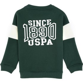 Resim U.S. Polo Assn. Erkek Çocuk Koyu Yeşil Şardonlu Bisiklet Yaka Sweatshirt 50316603-VR079 
