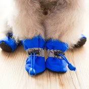 Resim Küçük Köpekler İçin 4 Adet Su Geçirmez Köpek Ayakkabısı - Dayanıklı, Kolay Temizlenebilir Pet Yağmurlukları, Ayarlanabilir Kayışlar ve Tokalar, Mavi Pati Koruma, Dış Mekan Yürüyüşleri İçin, Köpek Sahipleri İçin Mükemmel Hediye, Köpek Yağmurluğu, Güvenli Uyum Dizaynı, Sağlam İnşaat, Tüm Hava Koşulları İçin Koruma, Çıkarılabilir Yaka Özellği, Rahat Uyum, Dış Mekan Pati Koruyucuları, Güvenli Kapatma 