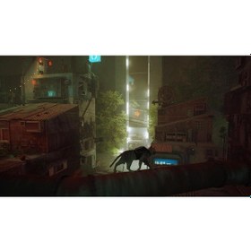 Resim Stray Switch Oyun 