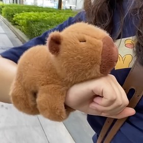 Resim Sevimli Capybara Peluş Oyuncak - Yumuşak Polyester Dolgulu Hayvan, Çocuklar, Evciller ve Ev Dekoru için İdeal, Kızlar ve Kadınlar için Mükemmel Hediye, Doğum Günü Hediyesi|Oyuncağı Tasarım|Dayanıklı Dikiş, Capybara Aksesuarları 