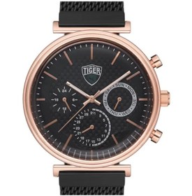 Resim Tiger TI-2121MSRS SAFİR CAMLI TIGER ÇELİK ERKEK SAATİ 