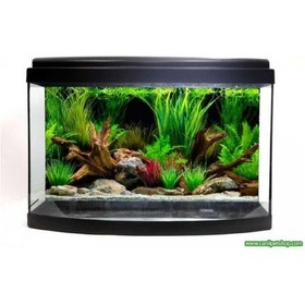 Resim Akvaryum Bombeli 35 Cm 