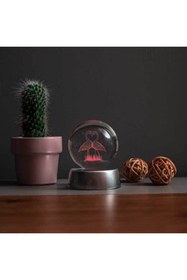 Resim BY-LAMP 3D Flamingo Işıklı Kristal Hediye Topu 