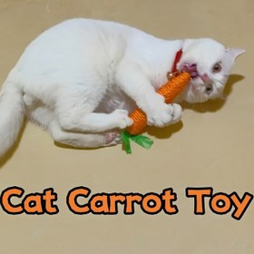 Resim Kedi Oyuncak Sevimli Havuç - Kendi Kendine Eğlenceli Diş Taşlama ve saç tokası Kesme Oyuncak, Tavşanların da Uygun Olduğu, Enerjilerini Salamak ve Bağları Geliştirmek İçin Kedilerin Bırakamadığı Bir Oyuncak, Pil Olmadan 