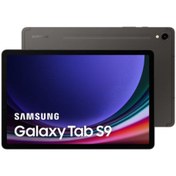 Resim Samsung Tab S9 Wi-Fi SM-X710 11"  | 256 GB 12 GB Gri 