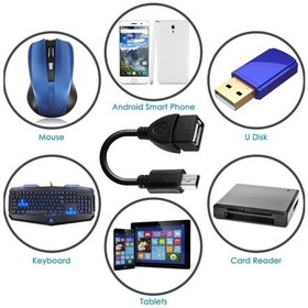 Resim Mini USB-USB Dönüştürücü Tablet için OTG Kablo Android Çevirici 