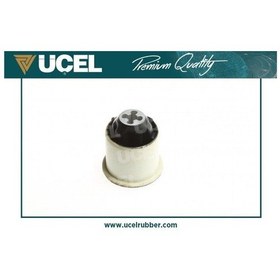 Resim ÜÇEL 10733 Torsiyon Burcu Arka ( Renault : Megane II / Clio II ) (WR632961) 
