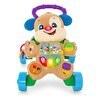 Resim Fisher Price Eğlen Öğren Türkçe ve İngilizce Eğitici Köpekçik Yürüteç FTG10 