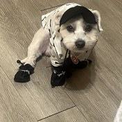 Resim Küçük Köpekler İçin 4 Adet Su Geçirmez Köpek Ayakkabısı - Dayanıklı, Kolay Temizlenebilir Pet Yağmurlukları, Ayarlanabilir Askılar ile, Dış Mekan Yürüyüşleri ve Islak Koşullar için İdeal, Köpek Sahipleri İçin Mükemmel Hediye, Köpek Yağmurluğu, Evcil Hayvan Koruma Ekipmanı, Şık Evcil Hayvan Aksesuarı, Güvenli Uygun Tasarım 