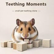 Resim Küçük Evcil Hayvan Diş Taşlama Taşı - Hamsterler İçin Doğal Kare Çiğneme Taşı, Gençler İçin Diş Bakımı, Diş Renk Değişikliğini Önler, Diş Sorunları Riskini Azaltır, Gençler İçin Sağlık | Doğal Çiğneme | Dokulu Yüzey 