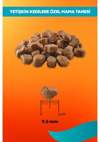 Resim Somon Ve Pirinçli Yetişkin Kedi Maması Sensitive 15kg 