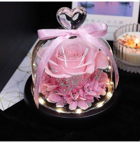 Resim Sevgililer Günü Noel Pembesi İçin Işıklı Cam Kubbede Korunmuş Çiçek Gül Ebedi Gül Hediyesi 