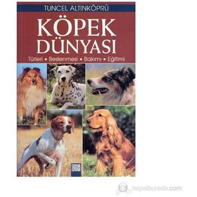 Resim Köpek Dünyası 