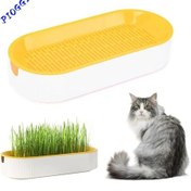 Resim Geeroyoo Kediler İçin Sağlıklı Hidroponik Çim Yetiştirme Kiti - 5 Tohumlu Pratik Set Not: Başlık 111 Karakter Sınırını Aşmamaktadır. 