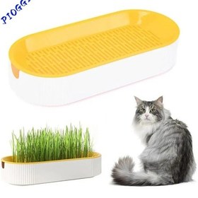 Resim Geeroyoo Kediler İçin Sağlıklı Hidroponik Çim Yetiştirme Kiti - 5 Tohumlu Pratik Set Not: Başlık 111 Karakter Sınırını Aşmamaktadır. 