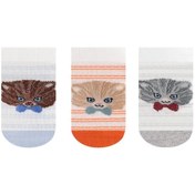 Resim Bdalışveriş 3 Lü Kedi Desenli Erkek Bebek Patik Çorap 