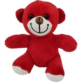 Resim Peluş Oyuncak Ayı 