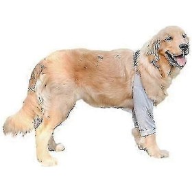 Resim Orta Ve Büyük Köpekler İçin Aşınmaya Karşı Dayanıklı Köpek Dirsek Koruyucu Dizlik Eklem Koruması 3xl Gri 