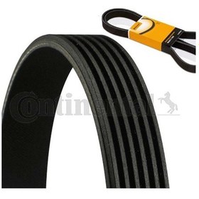 Resim 51 Contıtech 6pk698 - Alternatör Kayışı 6 Kanal Vega 16v İnjeks 