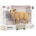 Resim Animal World Koyun 2 