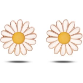 Resim Kadın Papatya 925 Ayar Gümüş Küpe 