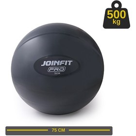 Resim Pro Anti-burst Yoga Ve Pilates Topu Koyu Gri 75 Cm 