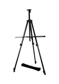 Resim Lüks Naturel Alüminyum Metal Şovale 170 Cm 