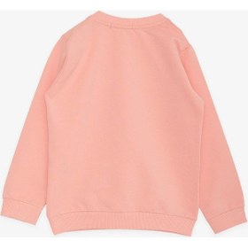 Resim Breeze Kız Çocuk Sweatshirt Tavşancık Baskılı 1.5-5 Yaş, Somon-somon Somon 