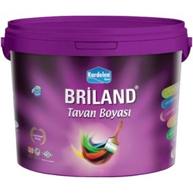 Resim Kardelen Boya Briland Tavan Boyası Beyaz 18kg 18 KG 