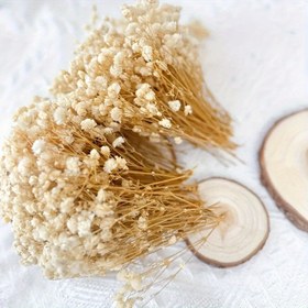 Resim 100 Adet 4,127 cm Yapay Nefes Çiçekleri - Altın Tonu, Kuru Çiçek Dokuma, Ev Dekorasyonu, Nikah, Noel ve Bohem Tarzı Etkinlikler için Kullanılır, Şişe Gerektirmez | Event Decoration| Bohem Stil| Suni Çiçekler, Çiçek Demeti Süslemeleri, Sanal Çiçek Duvarı, Tasarım Çiçekleri İçerik 