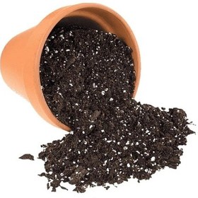 Resim Bitki Çoşturan Perlit Katkılı Torflu Kaktüs, Sukulent Ve Iç Mekan Bitki Toprağı 5 Litre 