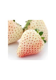 Resim Beyaz Çilek Fidesi Pineberry 