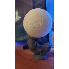 Resim Dorden 3D Dekoratif Kedi Masa & Gece Lambası Masa Lambası 