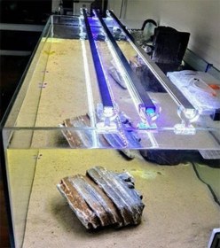 Resim Orionled Akvaryum Led Aydınlatma Karışık Renkli Beyaz Kırmızı Mavi 40cm 